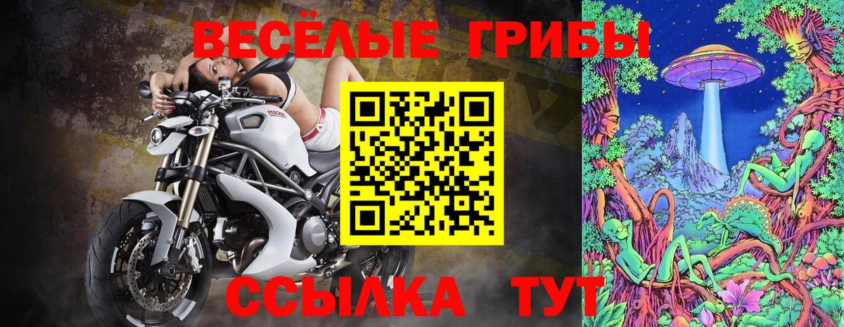 купить закладку  Вход с VPN  Видное  Галлюциногенные грибы Psilocybine cubensis 